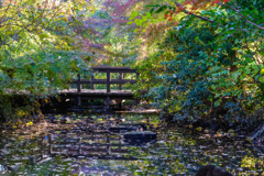 昭和記念公園にて