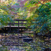 昭和記念公園にて