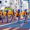 浅草サンバカーニバル