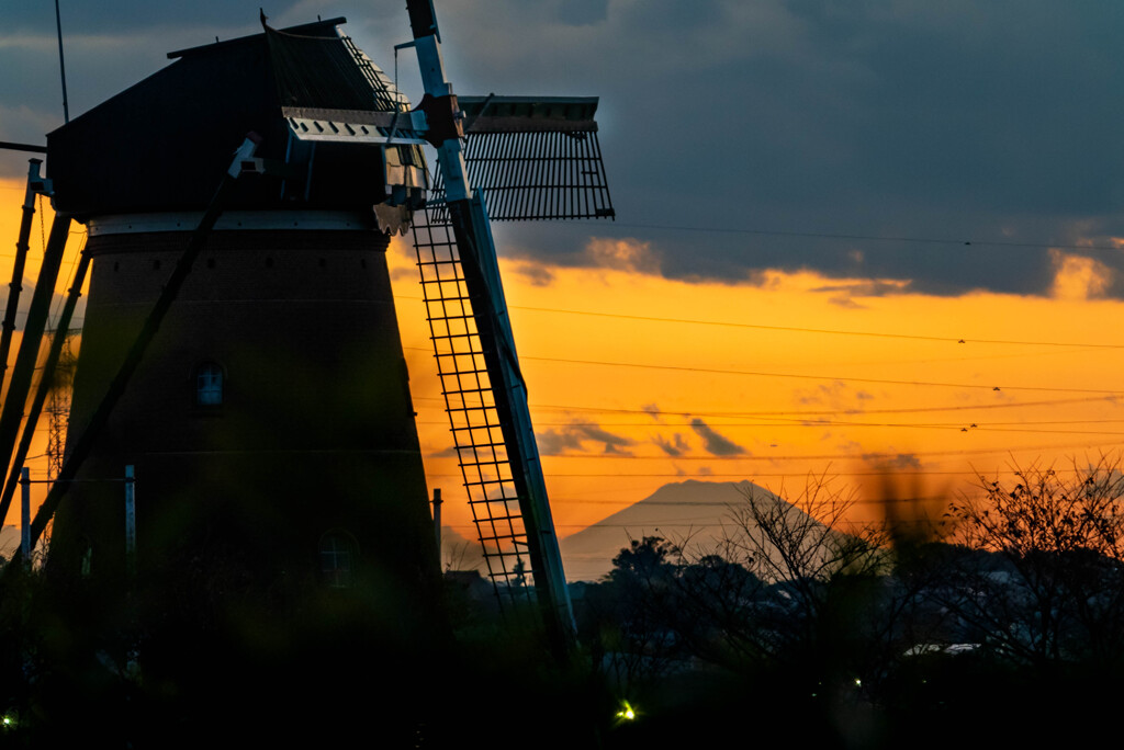 富士山と風車