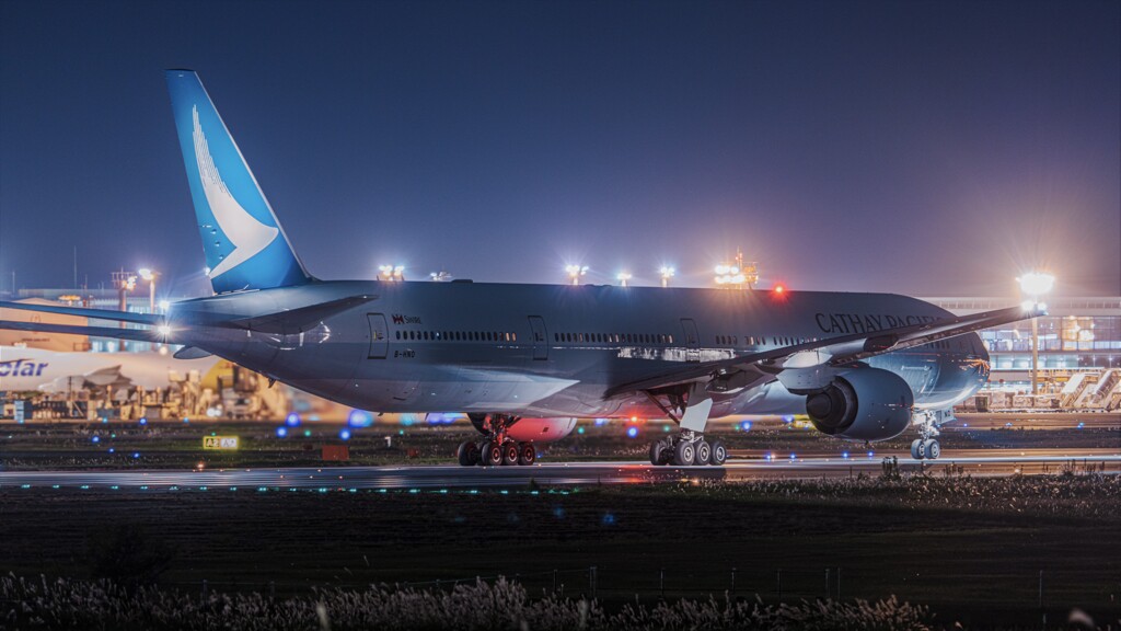 さくらの山公園より