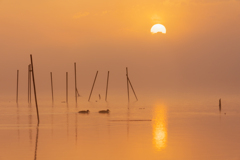 朝景