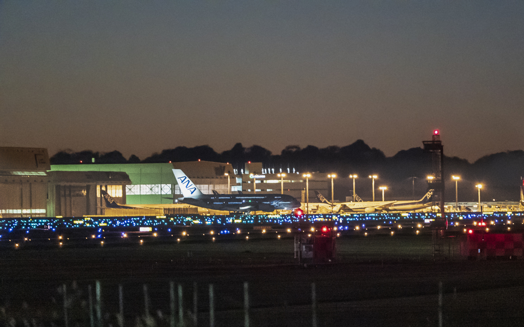 ラニ君の初日の出フライト