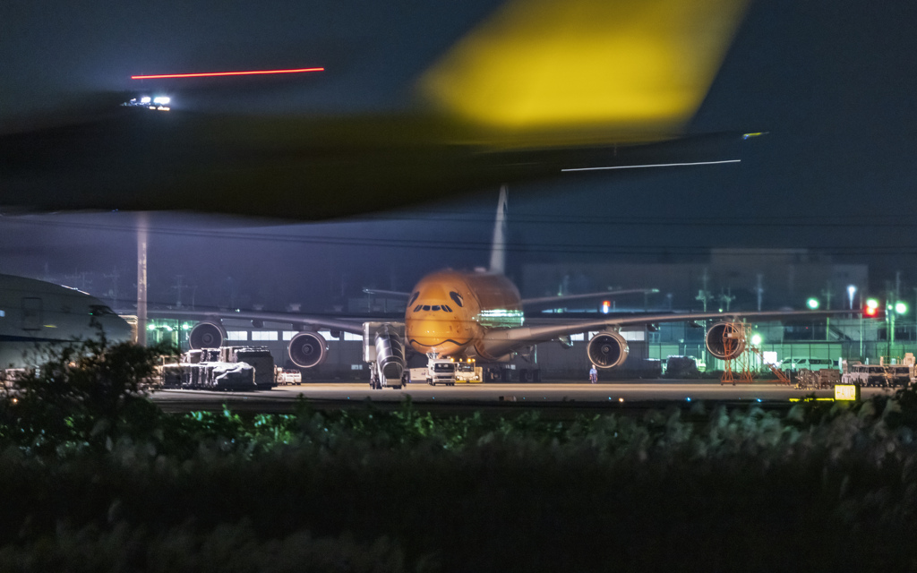 成田空港　三里塚さくらの丘公園で夜撮を楽しんでたら、・・・　3/3
