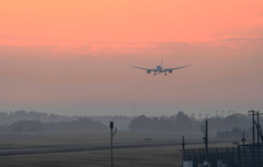 成田空港