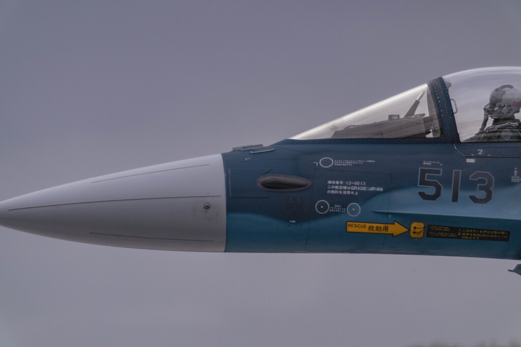 F-2A