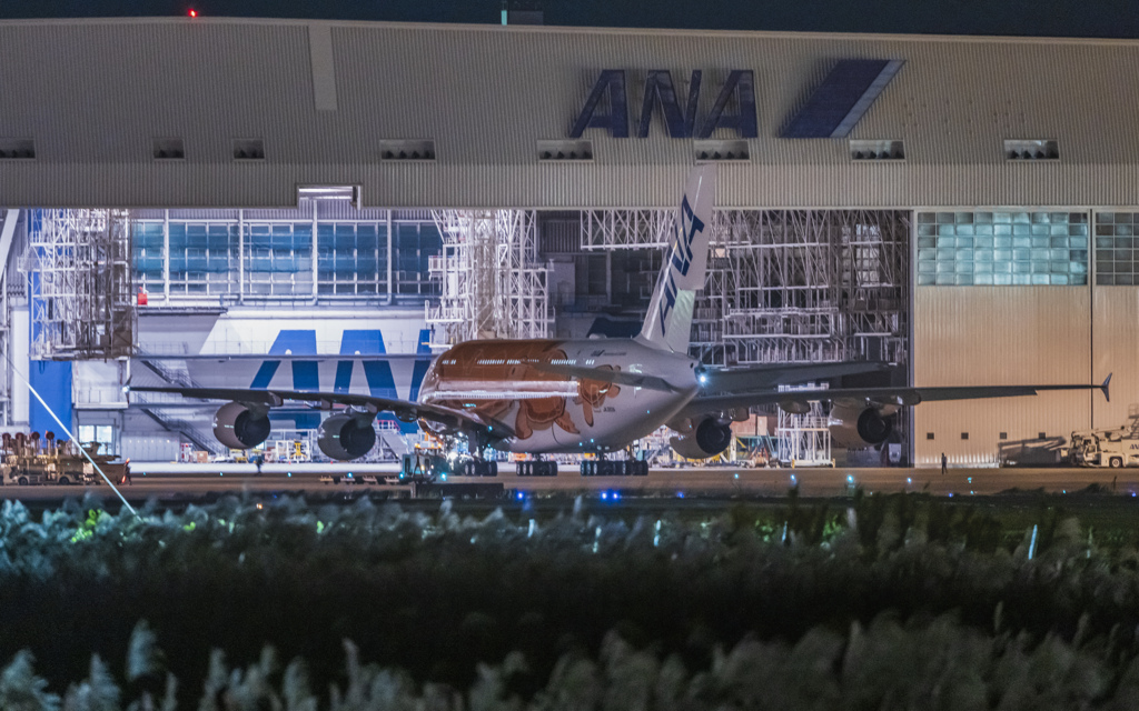 成田空港　三里塚さくらの丘公園で夜撮を楽しんでたら、・・・　1/3