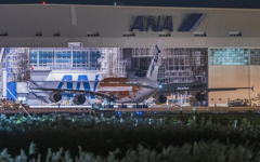 成田空港　三里塚さくらの丘公園で夜撮を楽しんでたら、・・・　1/3