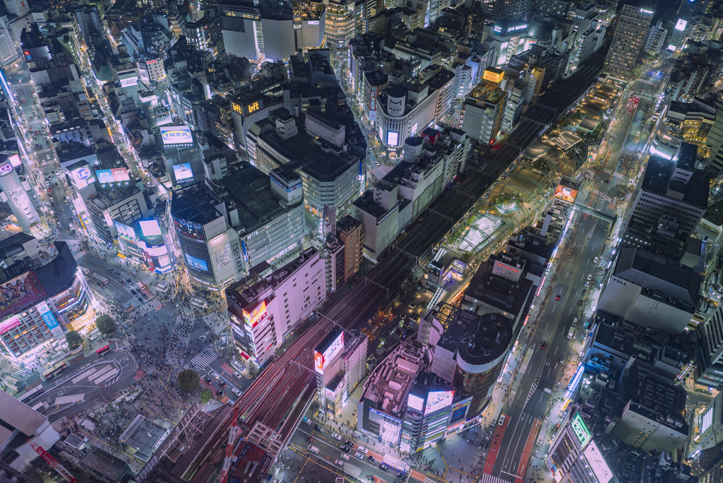 渋谷の夜景