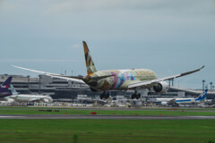 Etihad Airways