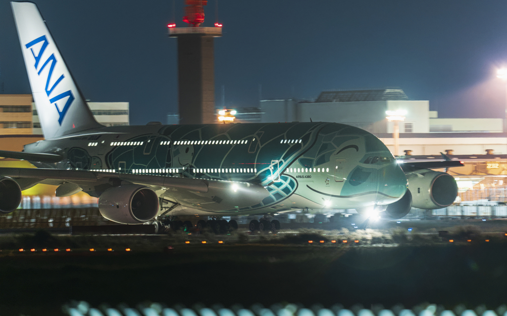 さくらの山公園より