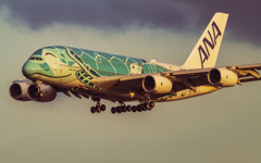 にっこりカイ君 国内遊覧飛行