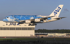 ラニ君　北海道周遊帰り