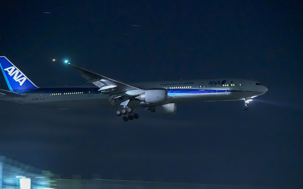 ANA（ISO値51200で撮ってみた5/5）