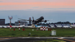 オールブラックス