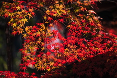 成田山新勝寺