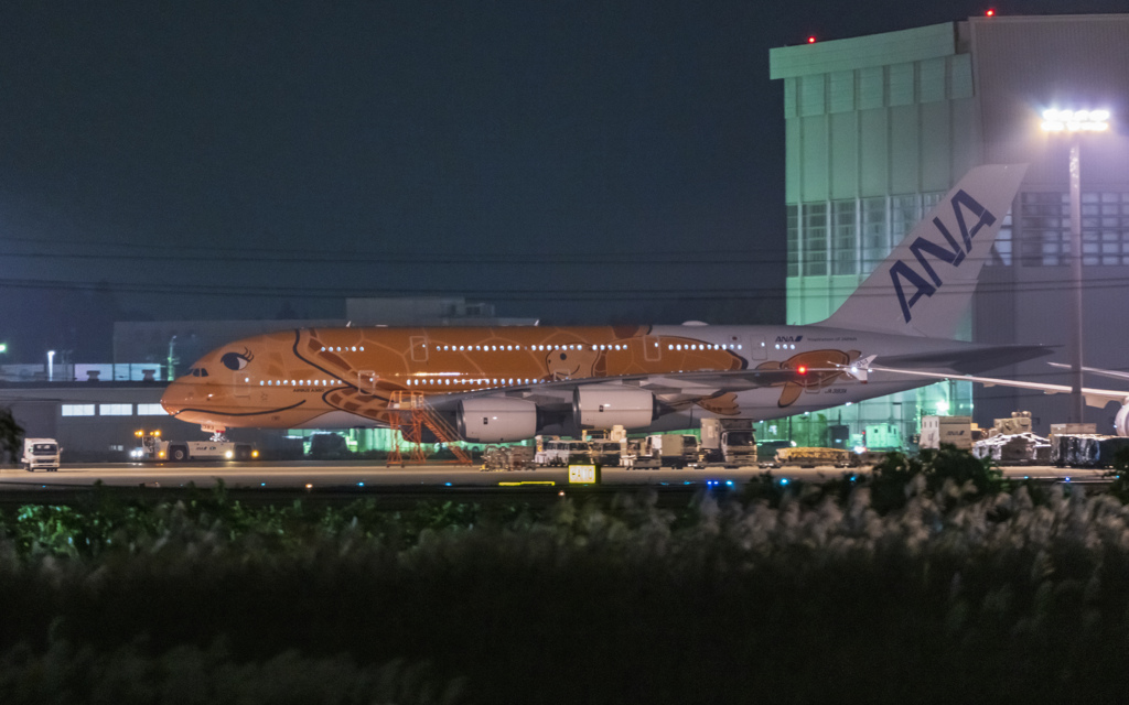 成田空港　三里塚さくらの丘公園で夜撮を楽しんでたら、・・・　2/3