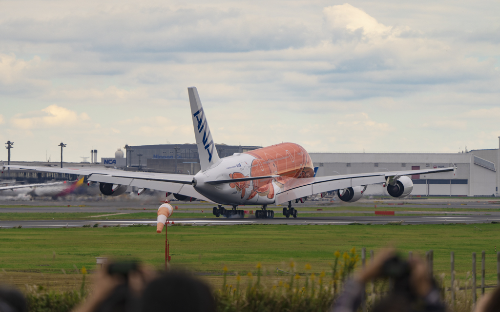 いつか飛べる日がきますように