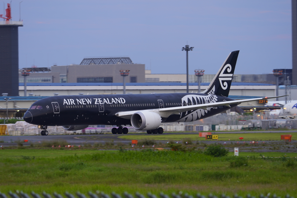 成田空港　さくらの山より