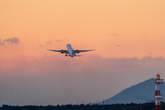 STAR ALLIANCE