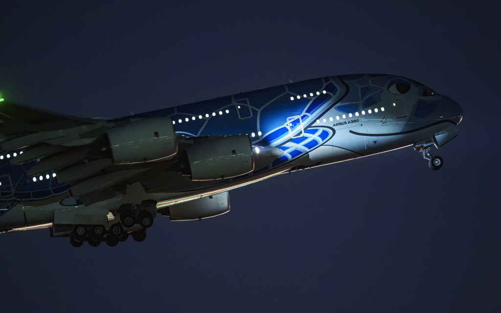 ラニ君ホノルルへ　再び