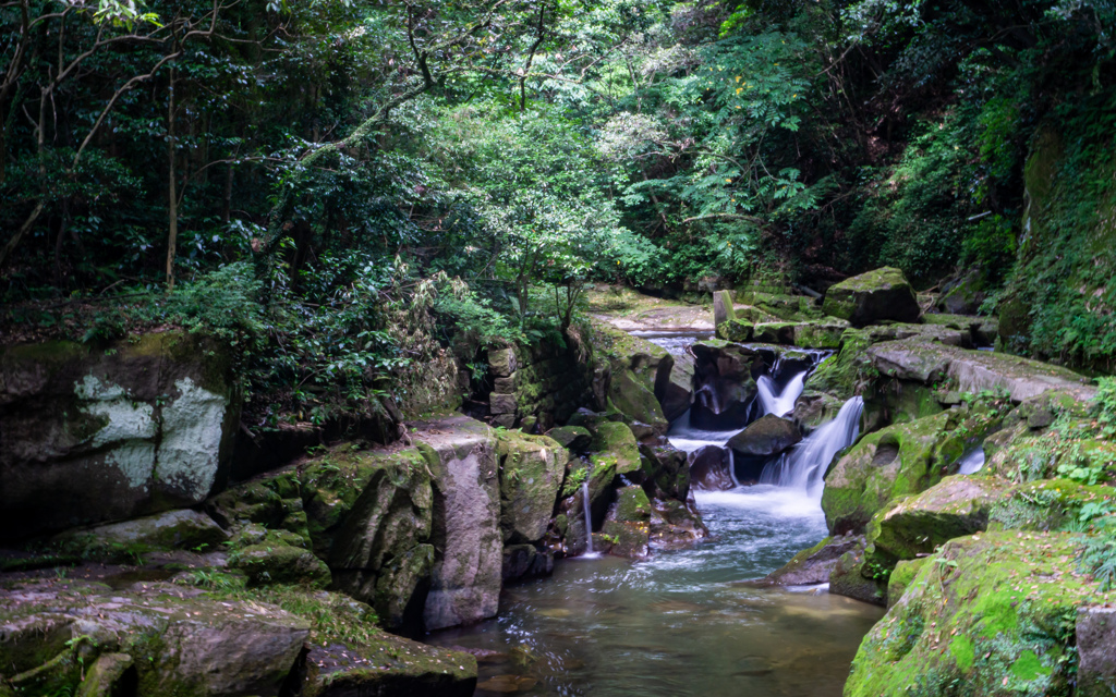 関吉の疎水溝２