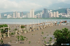 桟橋