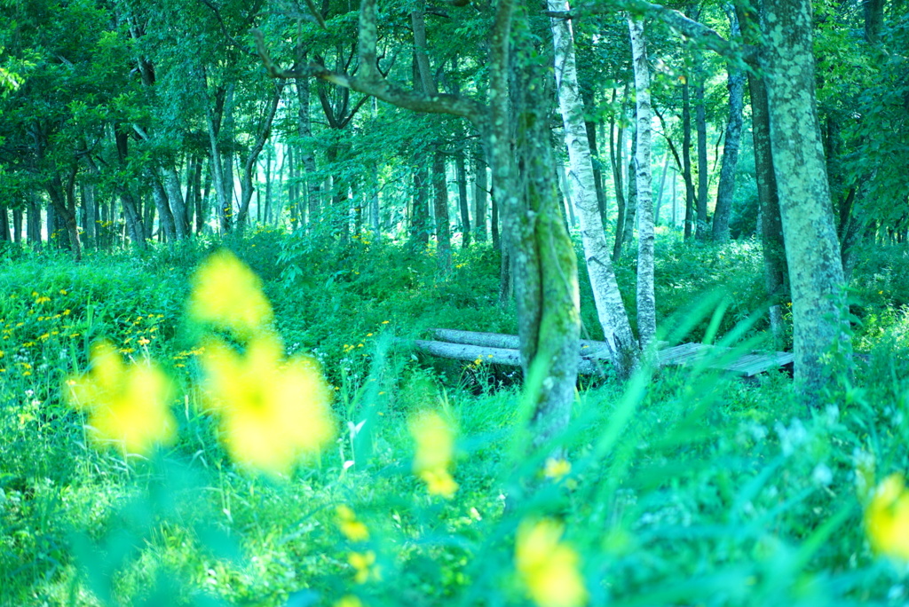 夏、長野 2