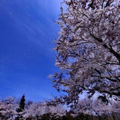 IMG_20200407_215845_103