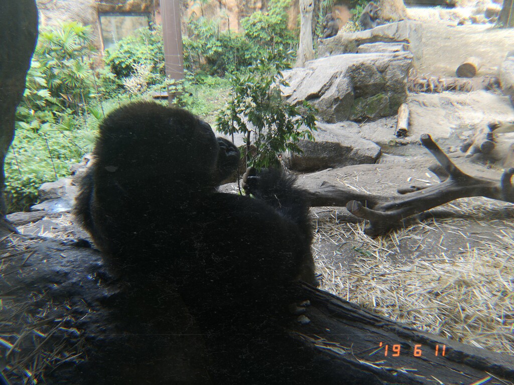 彼ぴ