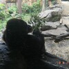 彼ぴ