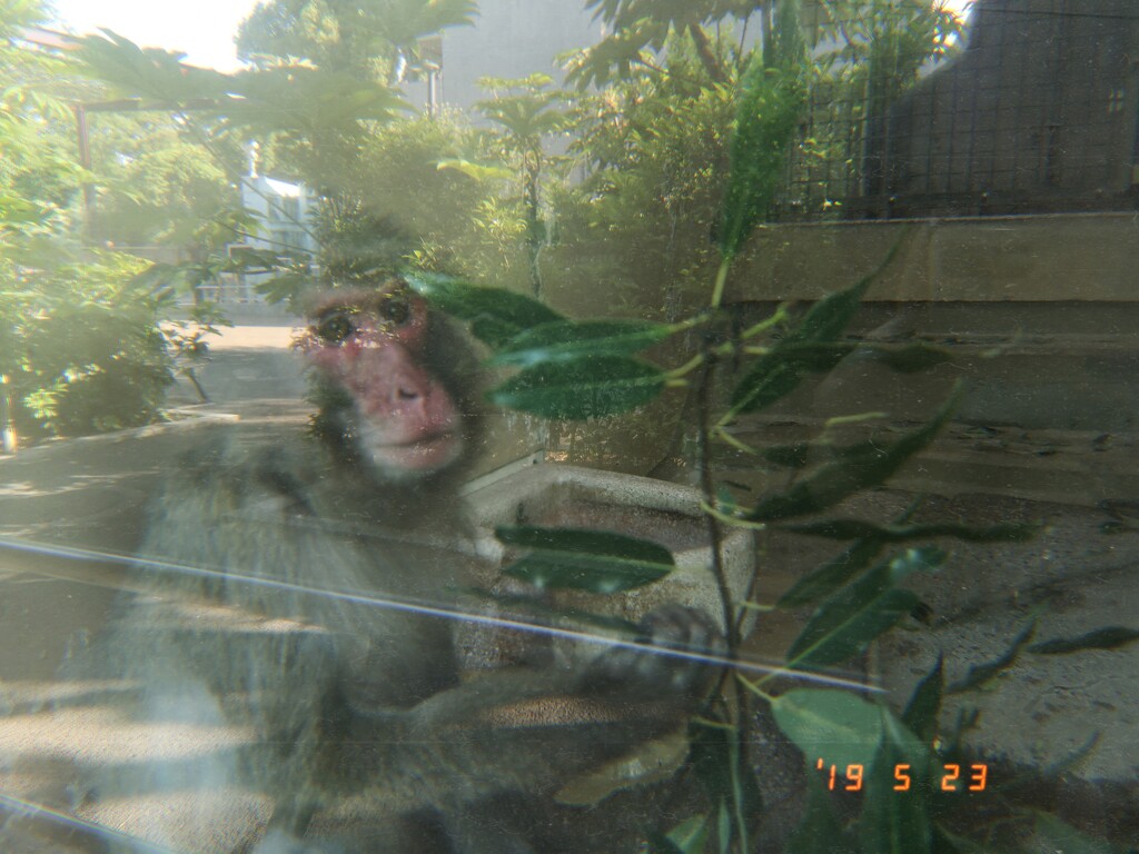 多重露光風