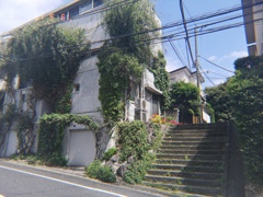 這ってる