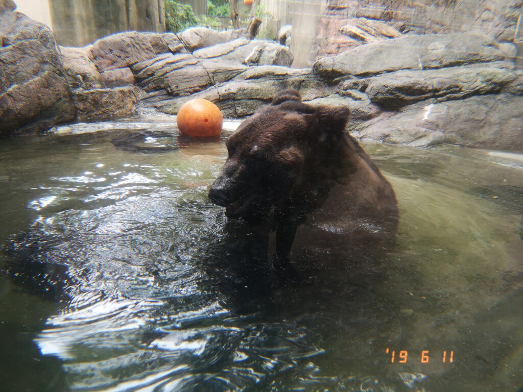 水風呂