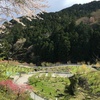 2020/04/05_花桃の郷のうねる道