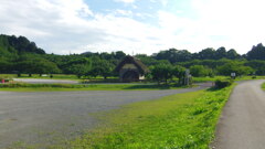 2013/06/22_巾着田の水車小屋
