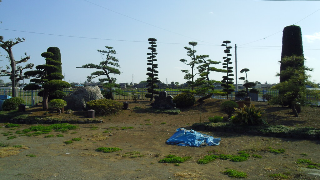 2013/04/13_鳥羽井沼自然公園