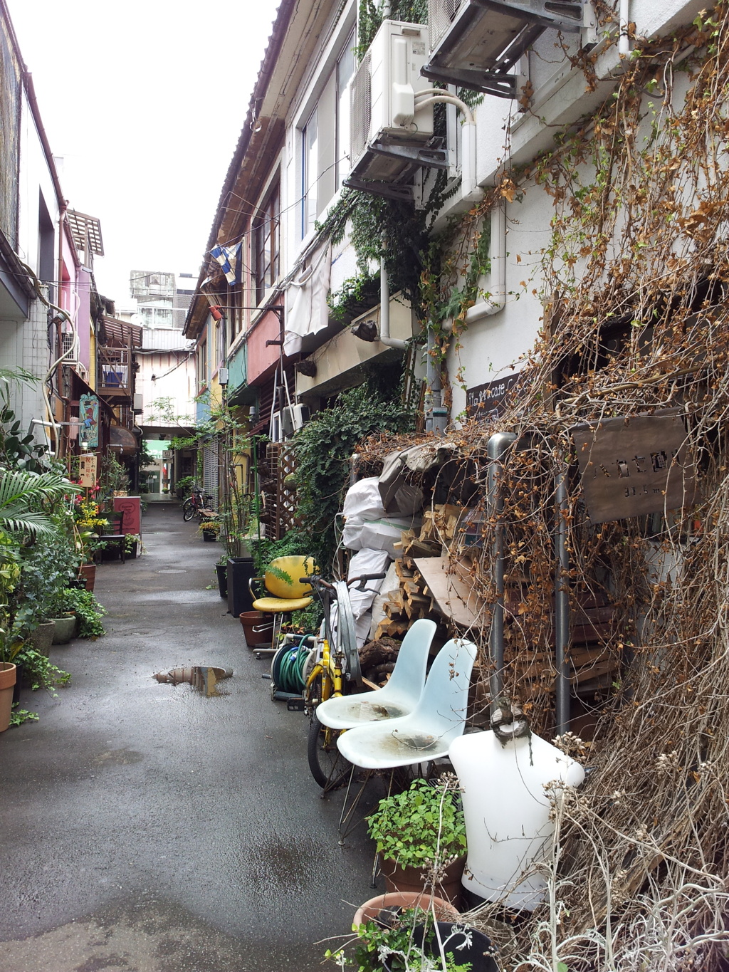2019/09/24_新栄商店街