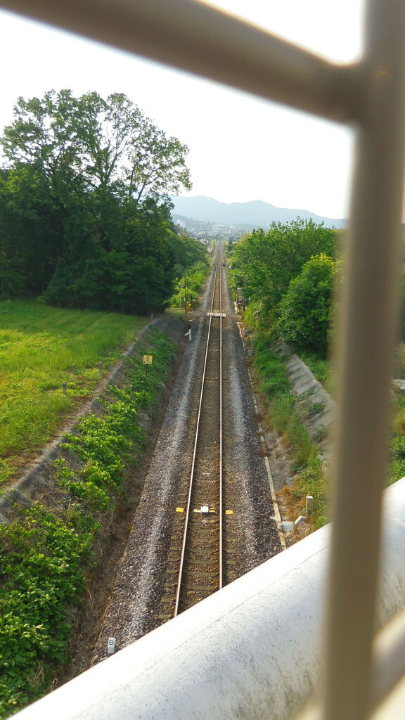 2013/06/08_続く線路（没カット）