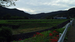 2012/09/29_下里の野山