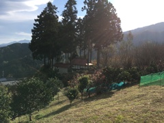 2019/12/01_大通領神社