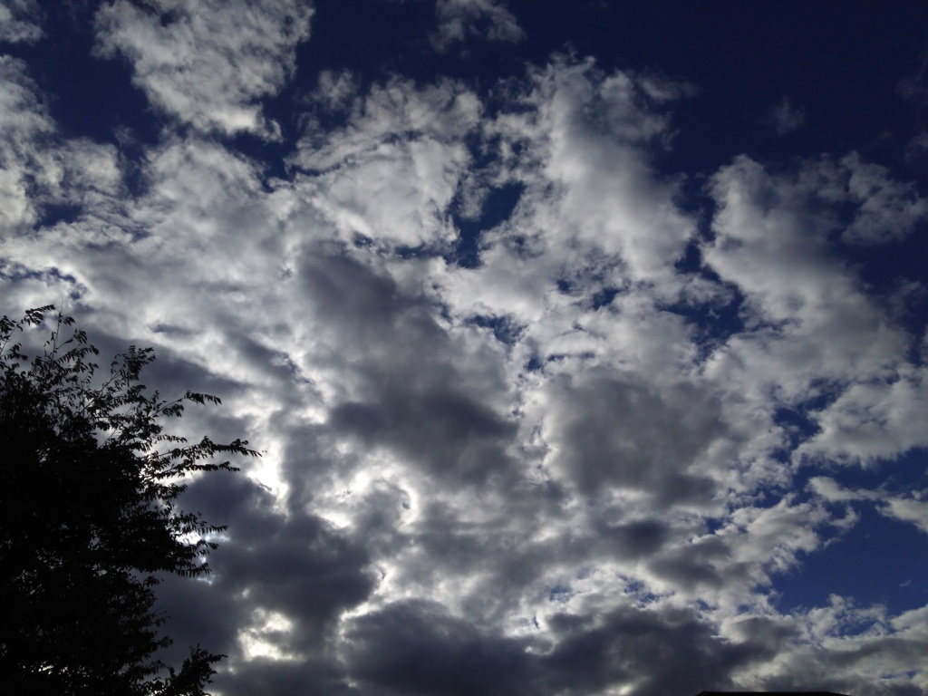 2016/11/09_秋の空