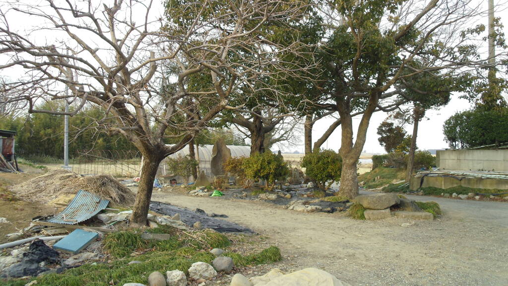 2013/02/02_石碑群のある一角