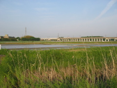 2007/05/05_田園