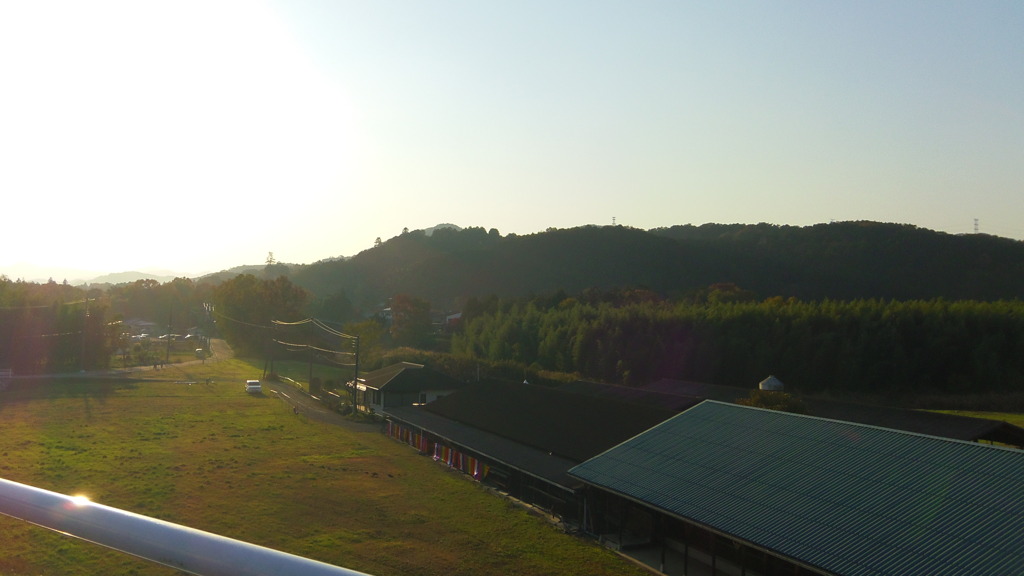 2013/11/24_牧場