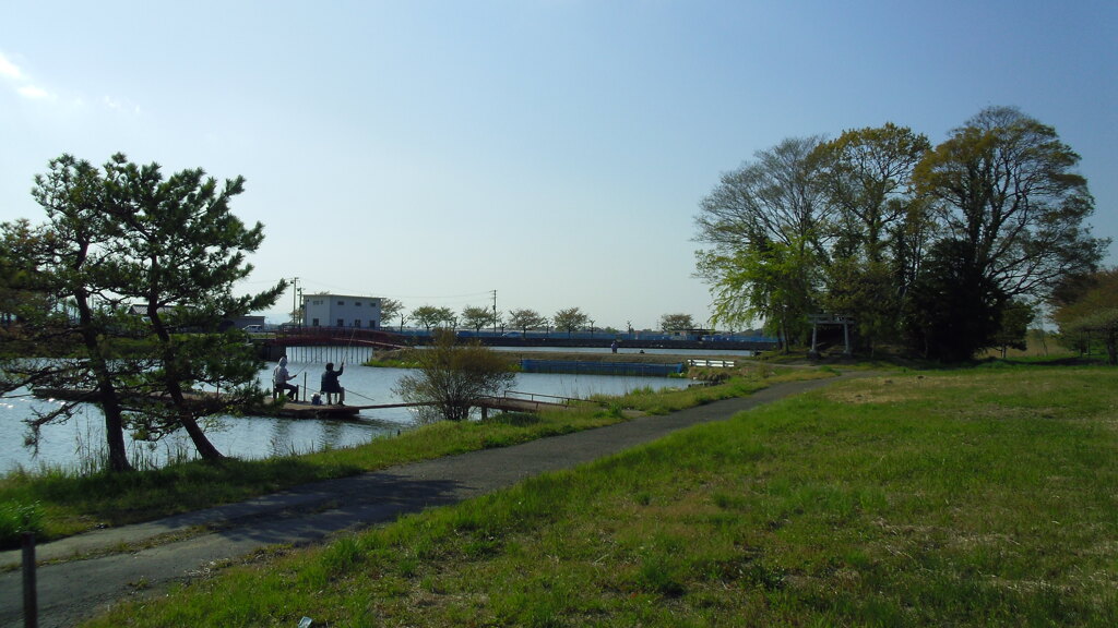 2013/04/13_鳥羽井沼自然公園