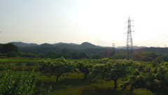 2013/06/08_外秩父の山並み
