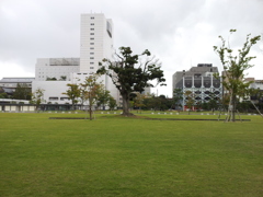 2019/09/24_中央公園