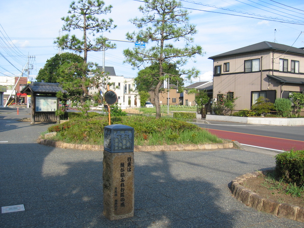 2012/08/26_べにばな通りの二本の松