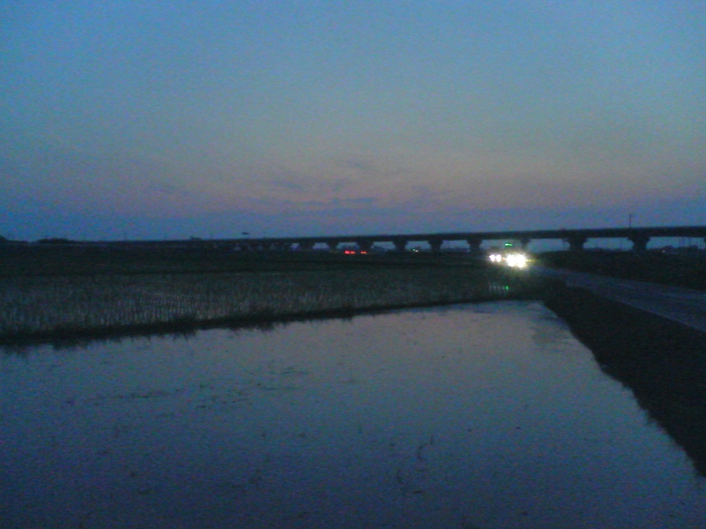 2015/07/11_水田の夕暮れ